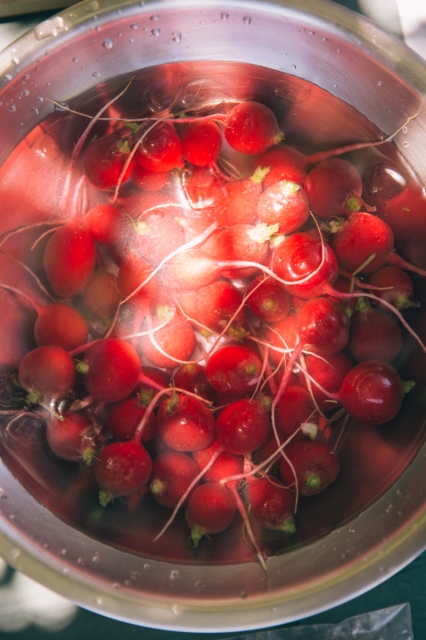 http://uh.mbmaher.com/files/gimgs/th-26_i-WvszR5B.jpg