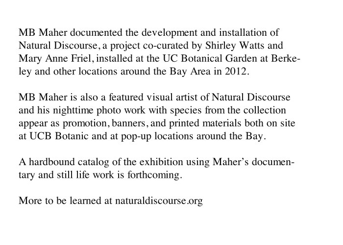 http://uh.mbmaher.com/files/gimgs/th-4_natural.jpg